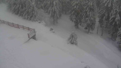 Přístup na běžeckou trať