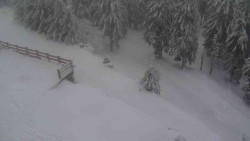 Přístup na běžeckou trať