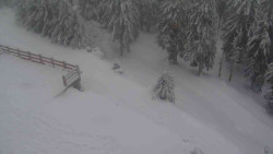 Přístup na běžeckou trať