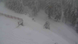 Přístup na běžeckou trať