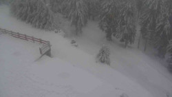 Přístup na běžeckou trať