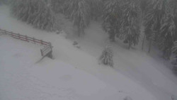 Přístup na běžeckou trať