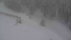 Přístup na běžeckou trať