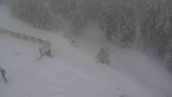 Přístup na běžeckou trať