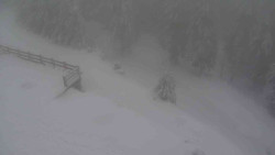 Přístup na běžeckou trať