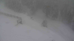 Přístup na běžeckou trať