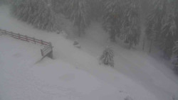 Přístup na běžeckou trať