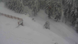 Přístup na běžeckou trať