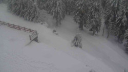 Přístup na běžeckou trať