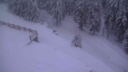 Přístup na běžeckou trať