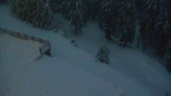 Přístup na běžeckou trať