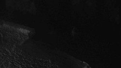 Přístup na běžeckou trať