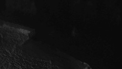 Přístup na běžeckou trať