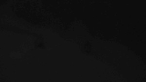 Sporthotel Kurzovní - Přístup na běžeckou trať - 18.2.2026 v 06:15 Sporthotel Kurzovní - Přístup na běžeckou trať - 18.2.2026 v 06:15