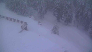 Sporthotel Kurzovní - Přístup na běžeckou trať - 18.2.2026 v 06:45 Sporthotel Kurzovní - Přístup na běžeckou trať - 18.2.2026 v 06:45