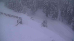 Přístup na běžeckou trať