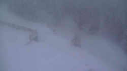 Přístup na běžeckou trať