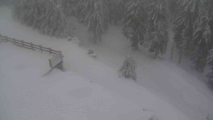 Sporthotel Kurzovní - Přístup na běžeckou trať - 18.2.2026 v 07:00 Sporthotel Kurzovní - Přístup na běžeckou trať - 18.2.2026 v 07:00