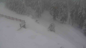 Sporthotel Kurzovní - Přístup na běžeckou trať - 18.2.2026 v 07:05 Sporthotel Kurzovní - Přístup na běžeckou trať - 18.2.2026 v 07:05