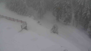 Sporthotel Kurzovní - Přístup na běžeckou trať - 18.2.2026 v 07:15 Sporthotel Kurzovní - Přístup na běžeckou trať - 18.2.2026 v 07:15