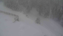 Přístup na běžeckou trať