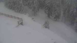 Sporthotel Kurzovní - Přístup na běžeckou trať - 18.2.2026 v 07:35 Sporthotel Kurzovní - Přístup na běžeckou trať - 18.2.2026 v 07:35