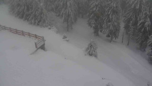 Sporthotel Kurzovní - Přístup na běžeckou trať - 18.2.2026 v 07:45 Sporthotel Kurzovní - Přístup na běžeckou trať - 18.2.2026 v 07:45