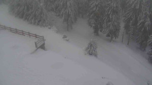 Sporthotel Kurzovní - Přístup na běžeckou trať - 18.2.2026 v 08:00 Sporthotel Kurzovní - Přístup na běžeckou trať - 18.2.2026 v 08:00