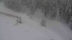 Přístup na běžeckou trať