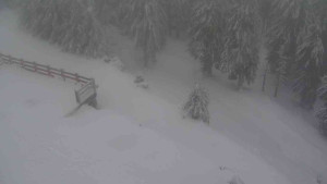 Sporthotel Kurzovní - Přístup na běžeckou trať - 18.2.2026 v 08:15 Sporthotel Kurzovní - Přístup na běžeckou trať - 18.2.2026 v 08:15