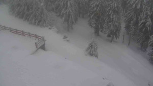 Sporthotel Kurzovní - Přístup na běžeckou trať - 18.2.2026 v 08:20 Sporthotel Kurzovní - Přístup na běžeckou trať - 18.2.2026 v 08:20