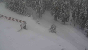 Sporthotel Kurzovní - Přístup na běžeckou trať - 18.2.2026 v 08:35 Sporthotel Kurzovní - Přístup na běžeckou trať - 18.2.2026 v 08:35