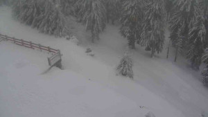 Sporthotel Kurzovní - Přístup na běžeckou trať - 18.2.2026 v 08:45 Sporthotel Kurzovní - Přístup na běžeckou trať - 18.2.2026 v 08:45