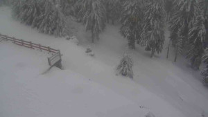 Sporthotel Kurzovní - Přístup na běžeckou trať - 18.2.2026 v 09:00 Sporthotel Kurzovní - Přístup na běžeckou trať - 18.2.2026 v 09:00