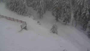 Sporthotel Kurzovní - Přístup na běžeckou trať - 18.2.2026 v 09:35 Sporthotel Kurzovní - Přístup na běžeckou trať - 18.2.2026 v 09:35