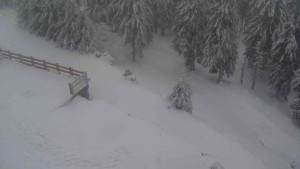 Sporthotel Kurzovní - Přístup na běžeckou trať - 18.2.2026 v 09:45 Sporthotel Kurzovní - Přístup na běžeckou trať - 18.2.2026 v 09:45