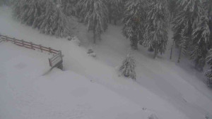 Sporthotel Kurzovní - Přístup na běžeckou trať - 18.2.2026 v 09:50 Sporthotel Kurzovní - Přístup na běžeckou trať - 18.2.2026 v 09:50