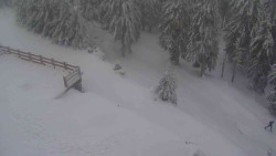 Přístup na běžeckou trať