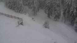 Přístup na běžeckou trať