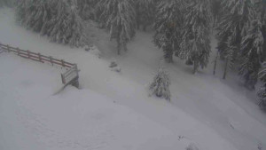 Sporthotel Kurzovní - Přístup na běžeckou trať - 18.2.2026 v 10:20 Sporthotel Kurzovní - Přístup na běžeckou trať - 18.2.2026 v 10:20