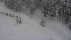 Přístup na běžeckou trať