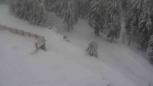 Sporthotel Kurzovní - Přístup na běžeckou trať - 18.2.2026 v 10:30 Sporthotel Kurzovní - Přístup na běžeckou trať - 18.2.2026 v 10:30