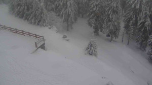 Sporthotel Kurzovní - Přístup na běžeckou trať - 18.2.2026 v 11:20 Sporthotel Kurzovní - Přístup na běžeckou trať - 18.2.2026 v 11:20