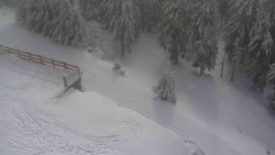 Přístup na běžeckou trať