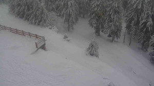 Sporthotel Kurzovní - Přístup na běžeckou trať - 18.2.2026 v 11:30 Sporthotel Kurzovní - Přístup na běžeckou trať - 18.2.2026 v 11:30