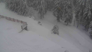 Sporthotel Kurzovní - Přístup na běžeckou trať - 18.2.2026 v 11:45 Sporthotel Kurzovní - Přístup na běžeckou trať - 18.2.2026 v 11:45