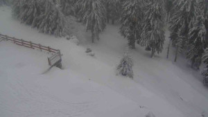 Sporthotel Kurzovní - Přístup na běžeckou trať - 18.2.2026 v 11:50 Sporthotel Kurzovní - Přístup na běžeckou trať - 18.2.2026 v 11:50