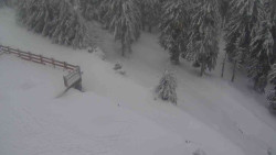 Přístup na běžeckou trať