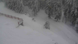 Přístup na běžeckou trať