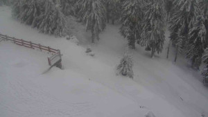 Sporthotel Kurzovní - Přístup na běžeckou trať - 18.2.2026 v 12:40 Sporthotel Kurzovní - Přístup na běžeckou trať - 18.2.2026 v 12:40